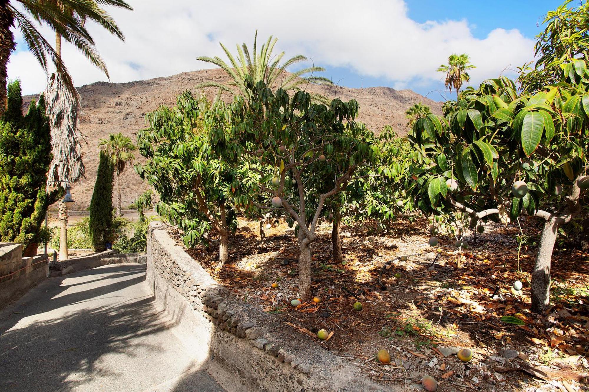 Mogán Paraiso Del Molinero Bajo מראה חיצוני תמונה