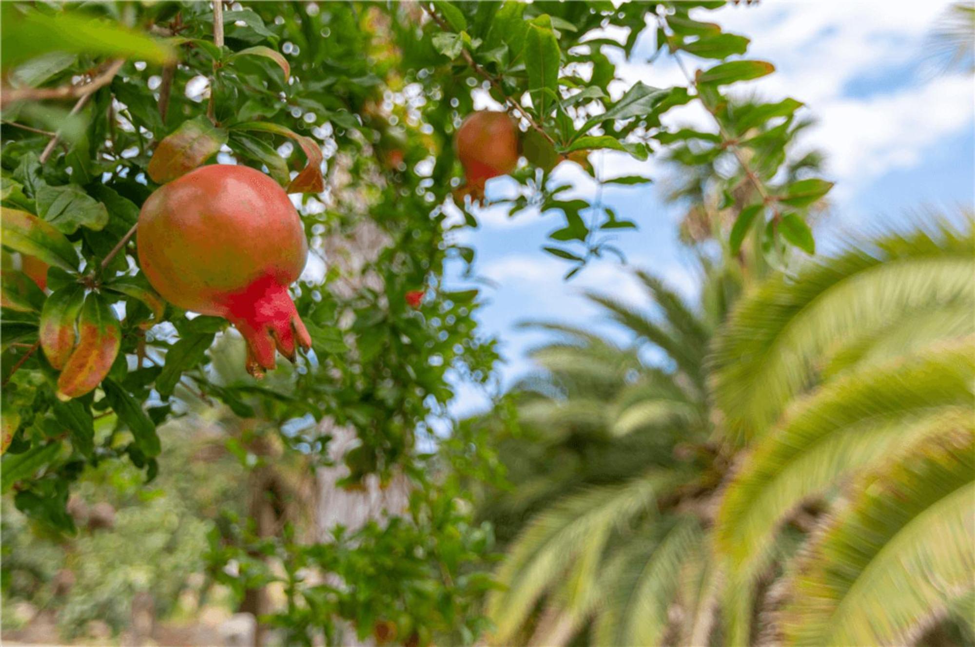 Mogán Paraiso Del Molinero Bajo מראה חיצוני תמונה